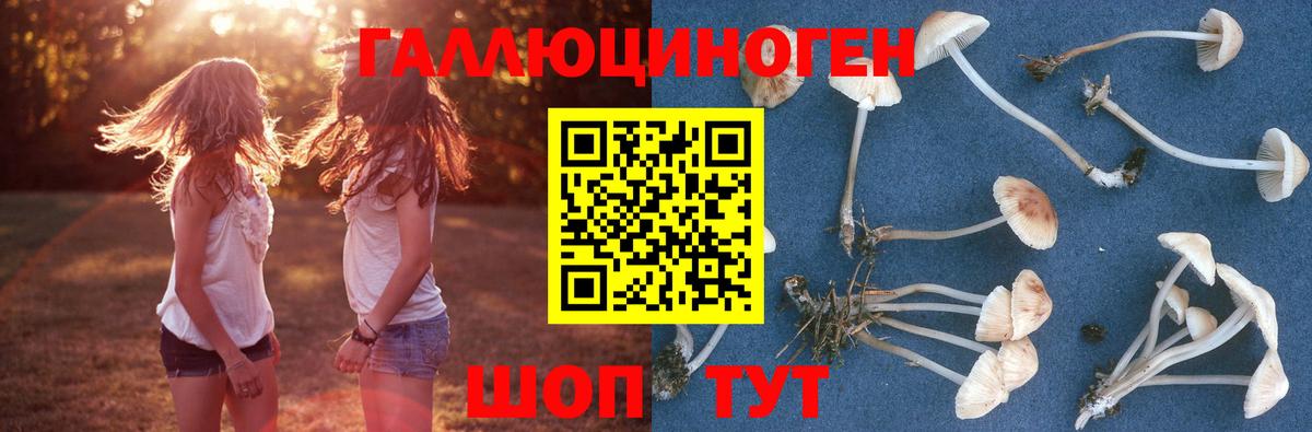Ипатово  Галлюциногенные грибы Psilocybe  Вход с VPN  Галлюциногенные грибы Psilocybine cubensis 