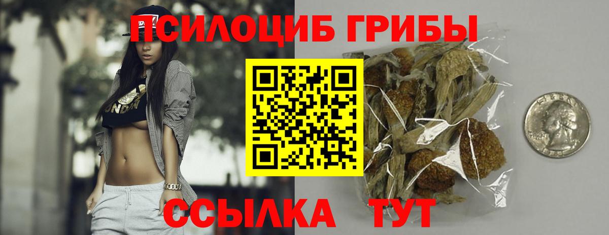 Псилоцибиновые грибы прущие грибы Ипатово